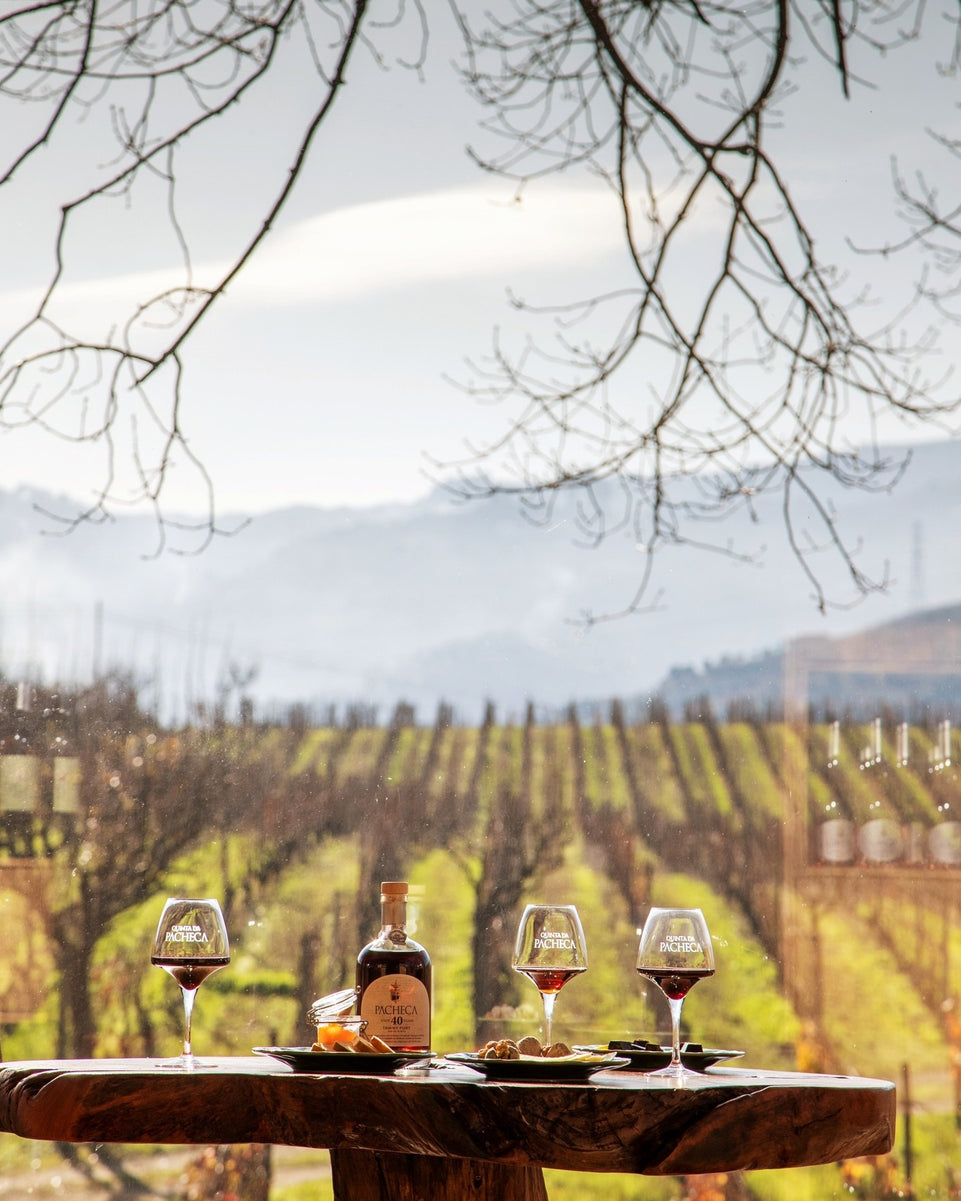 Michelin Douro & Sunset Experience - All Inclusive