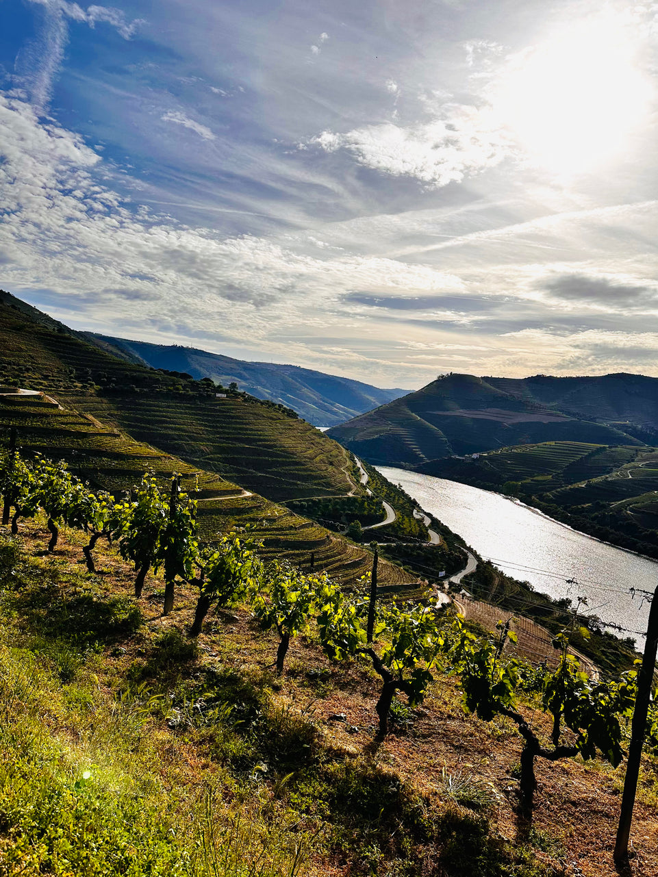 Michelin Douro & Sunset Experience - All Inclusive