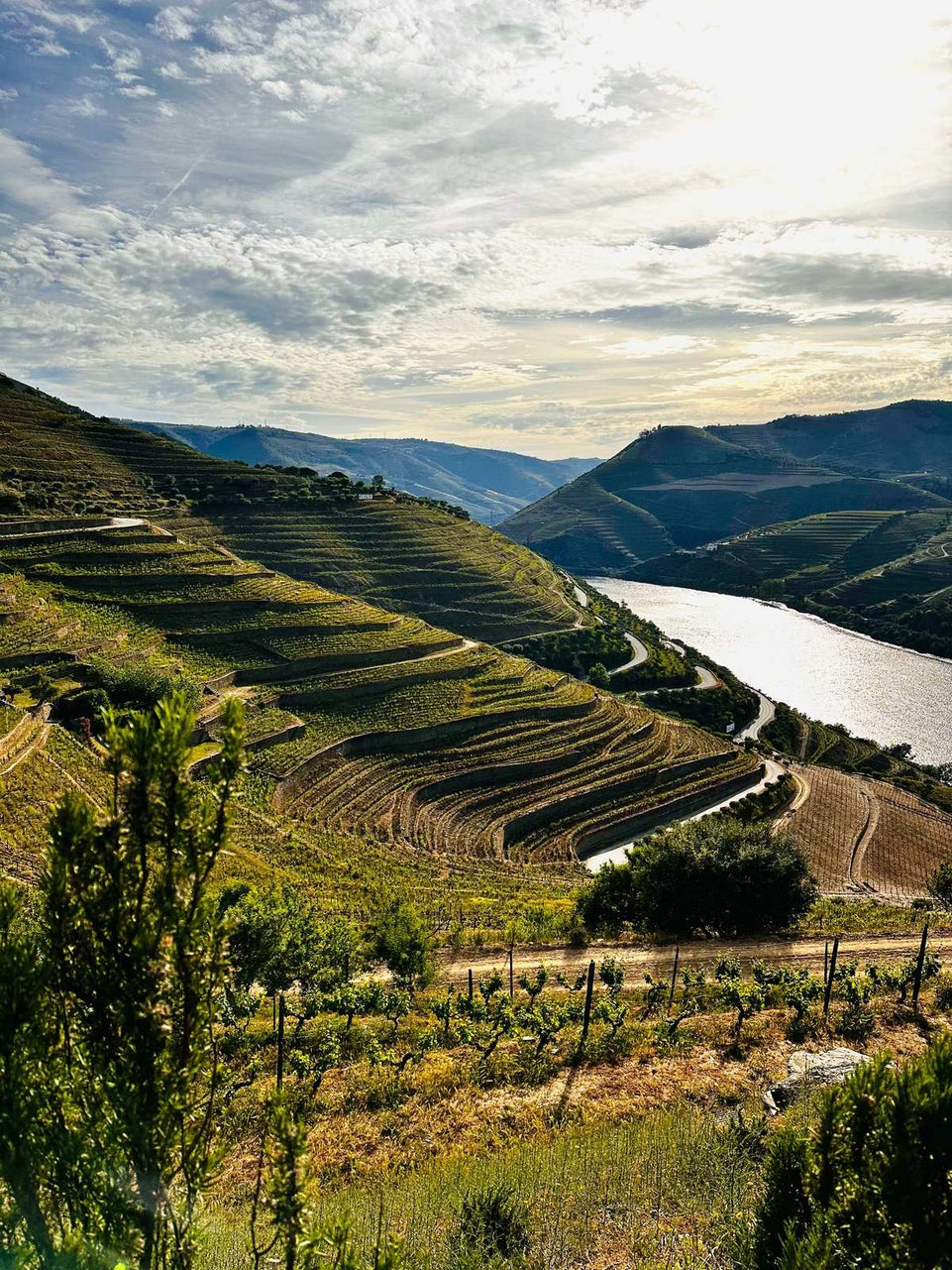 Douro com paragem em Amarante (Full Day) - Imperial Porto Tours