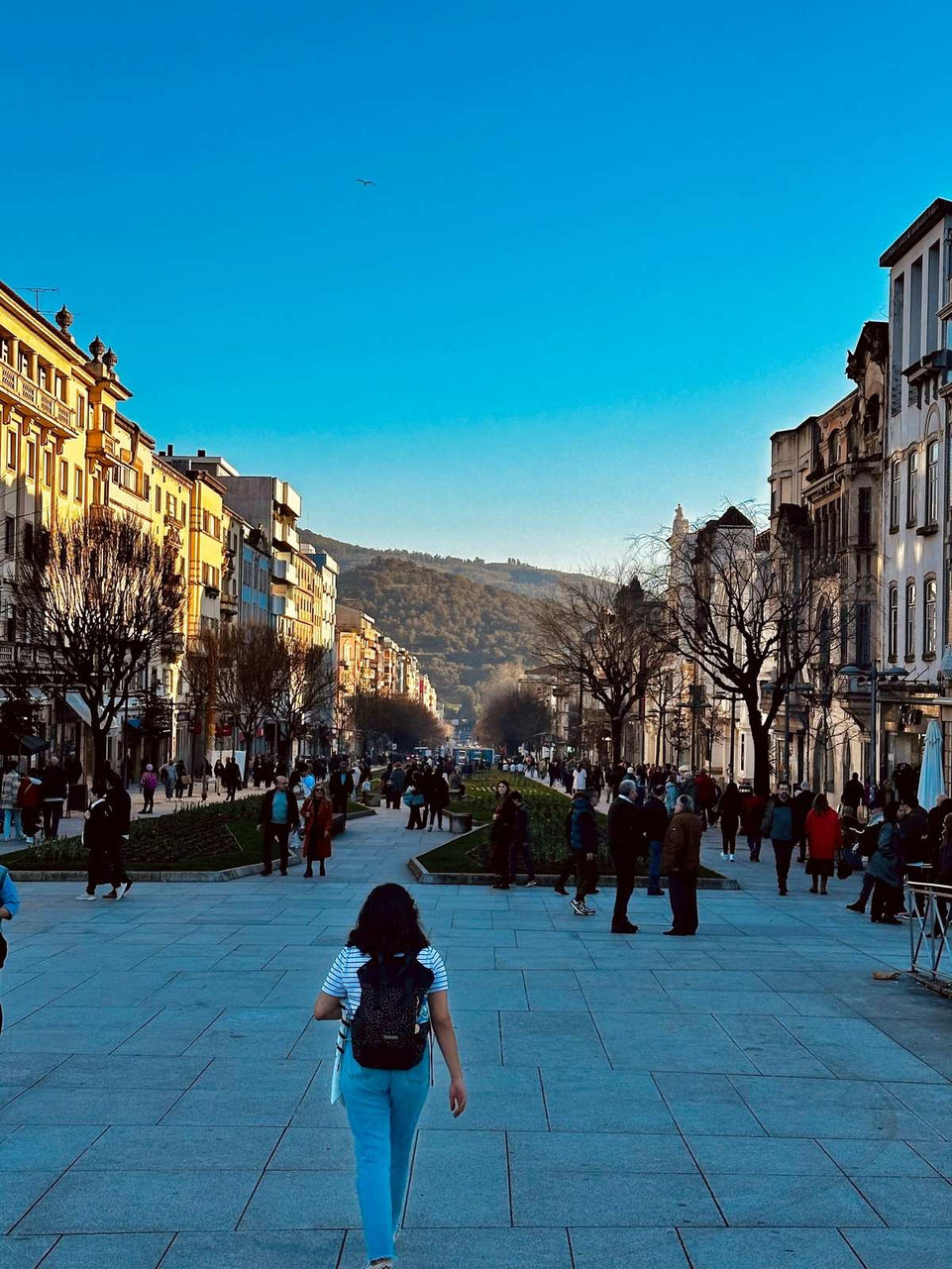 Braga - Tour Panorâmico (Half day) - Imperial Porto Tours