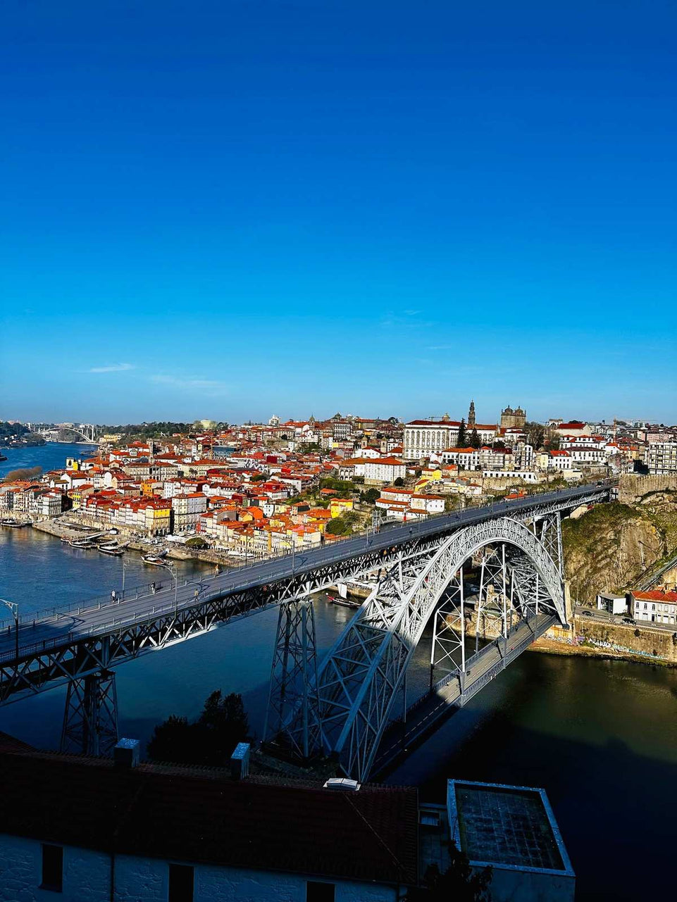 Porto City Tour (half day) - Imperial Porto Tours