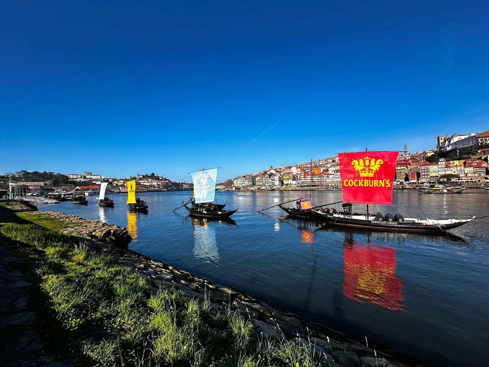 Porto City tour – A DESCOBERTA! - Imperial Porto Tours