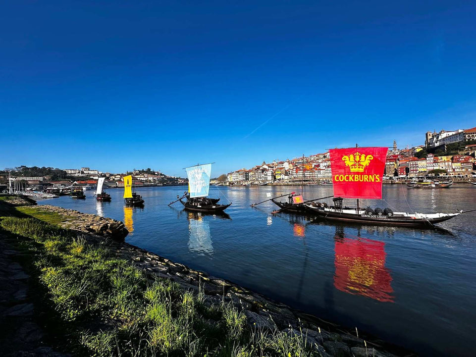 Porto City Tour (half day) - Imperial Porto Tours