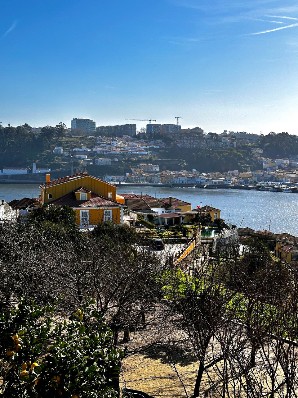 Porto City tour Exclusive with wine tasting!