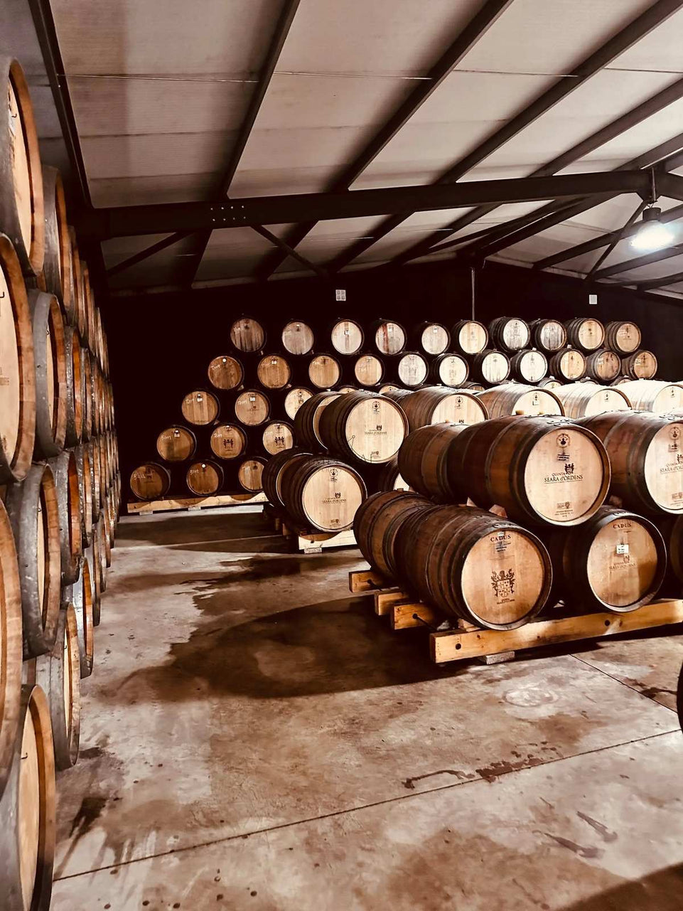 Prime Douro (All Inclusive) - Imperial Porto Tours