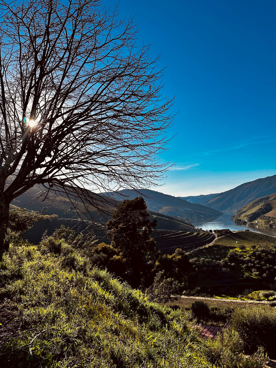 Prime Douro (All Inclusive)