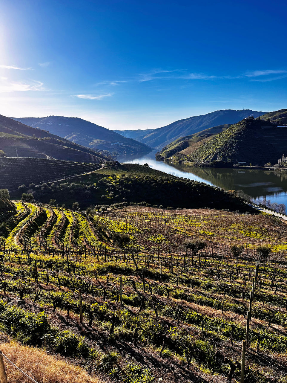 Michelin Douro & Sunset Experience - All Inclusive