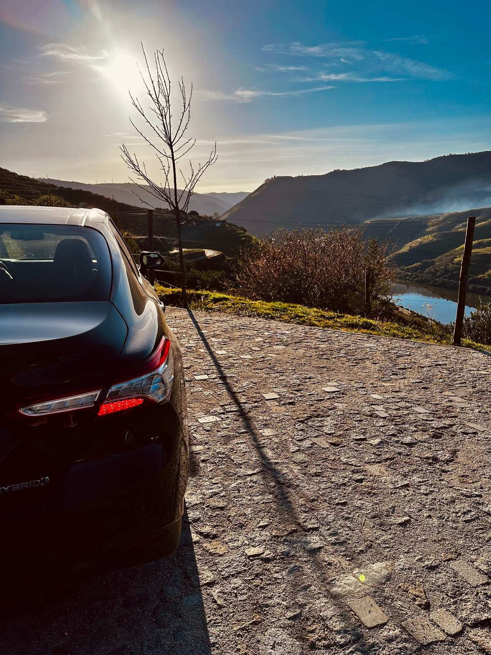 Michelin Douro & Sunset Experience - All Inclusive - Imperial Porto Tours