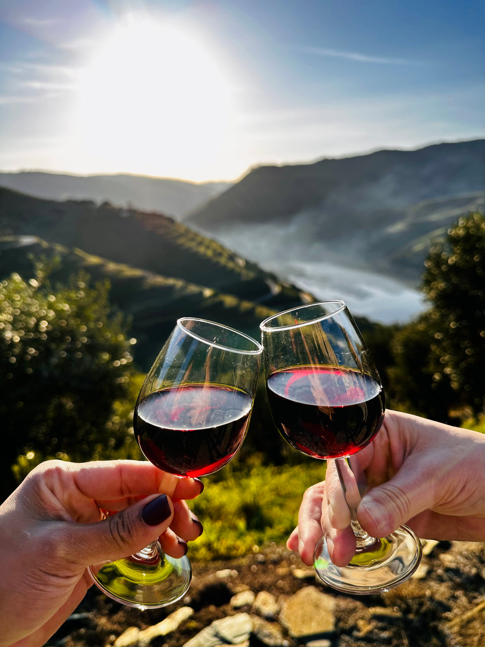 Michelin Douro & Sunset Experience - All Inclusive