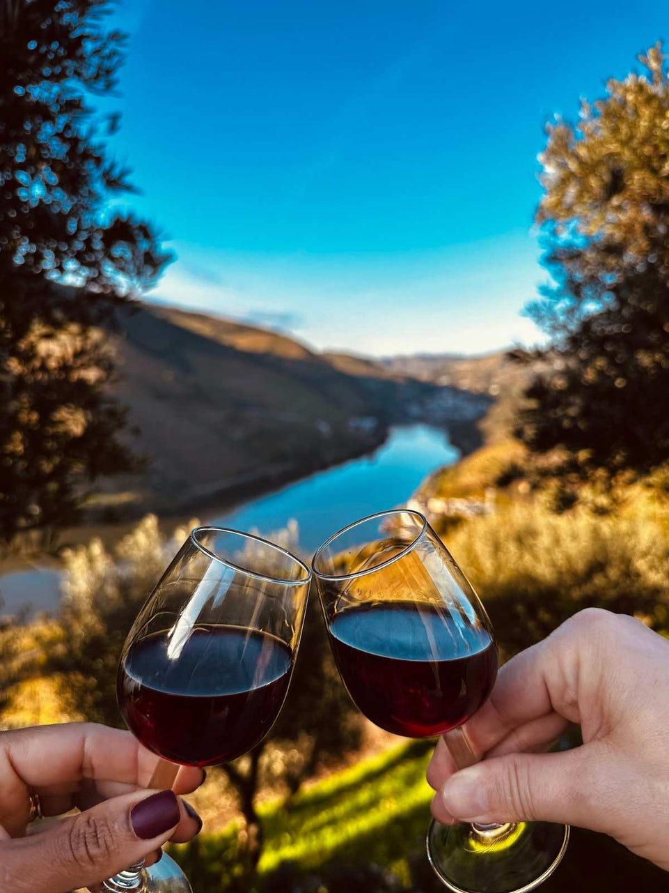 Douro Prestige (Barco privado) - All inclusive - Imperial Porto Tours