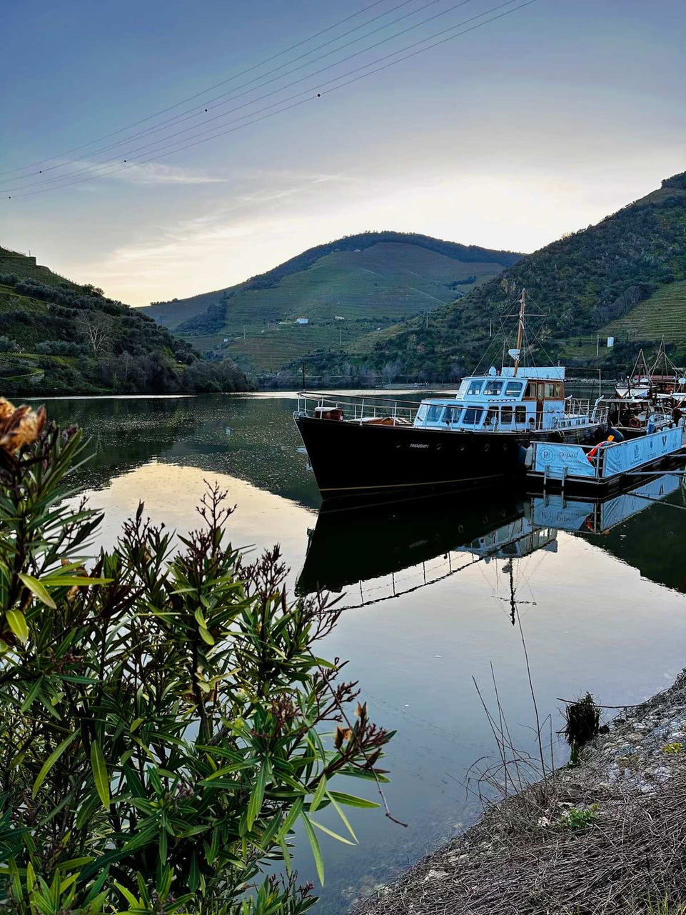 Michelin Douro & Sunset Experience - All Inclusive - Imperial Porto Tours