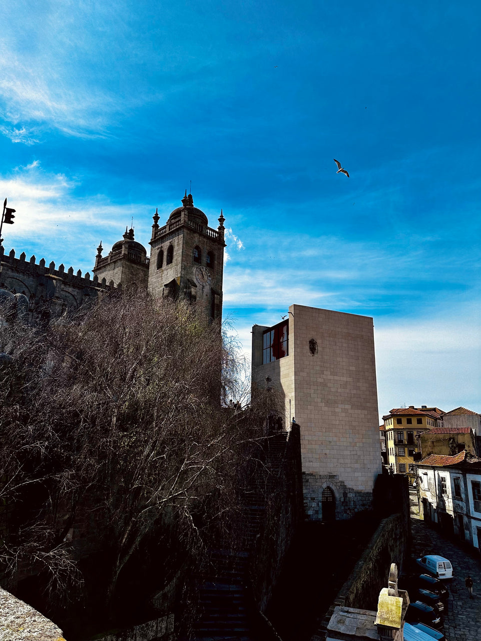 Porto City tour Exclusive with wine tasting!