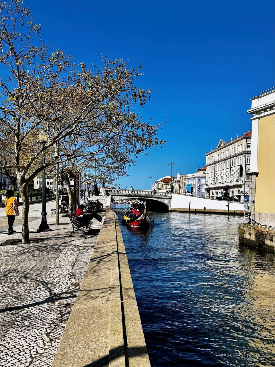Aveiro - Tour Panorâmico (Half Day) - Imperial Porto Tours