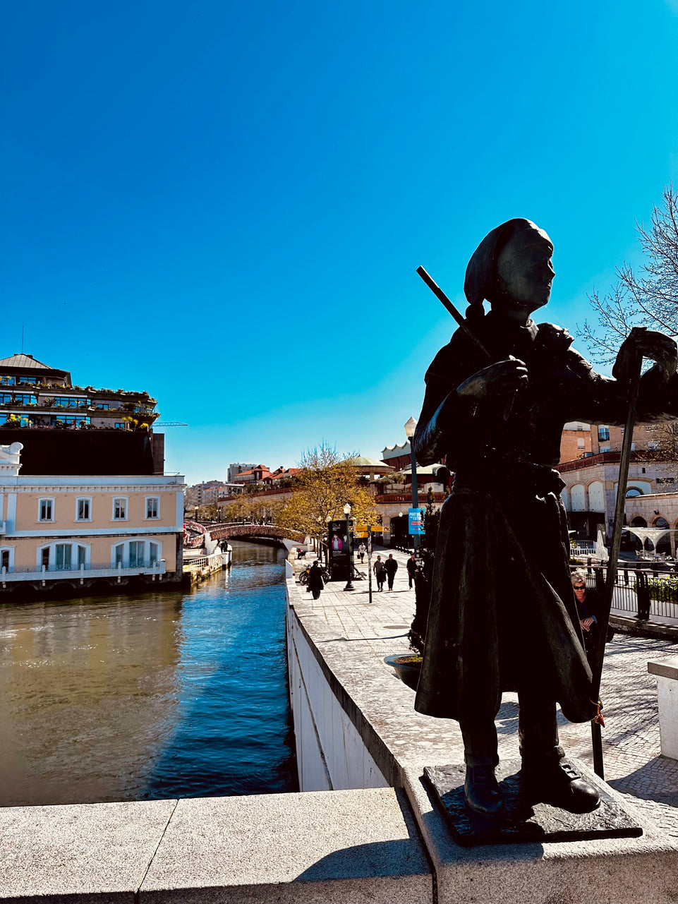 Aveiro and Coimbra - Panoramic Tour (Full Day)