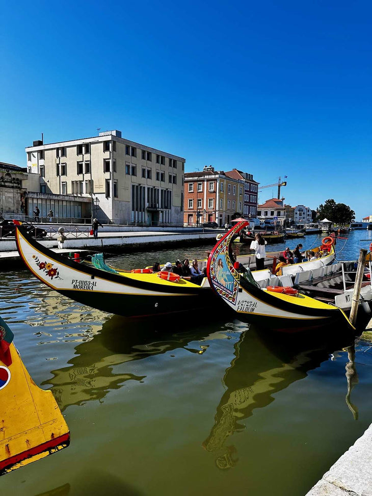 Aveiro - Tour Panorâmico (Half Day) - Imperial Porto Tours