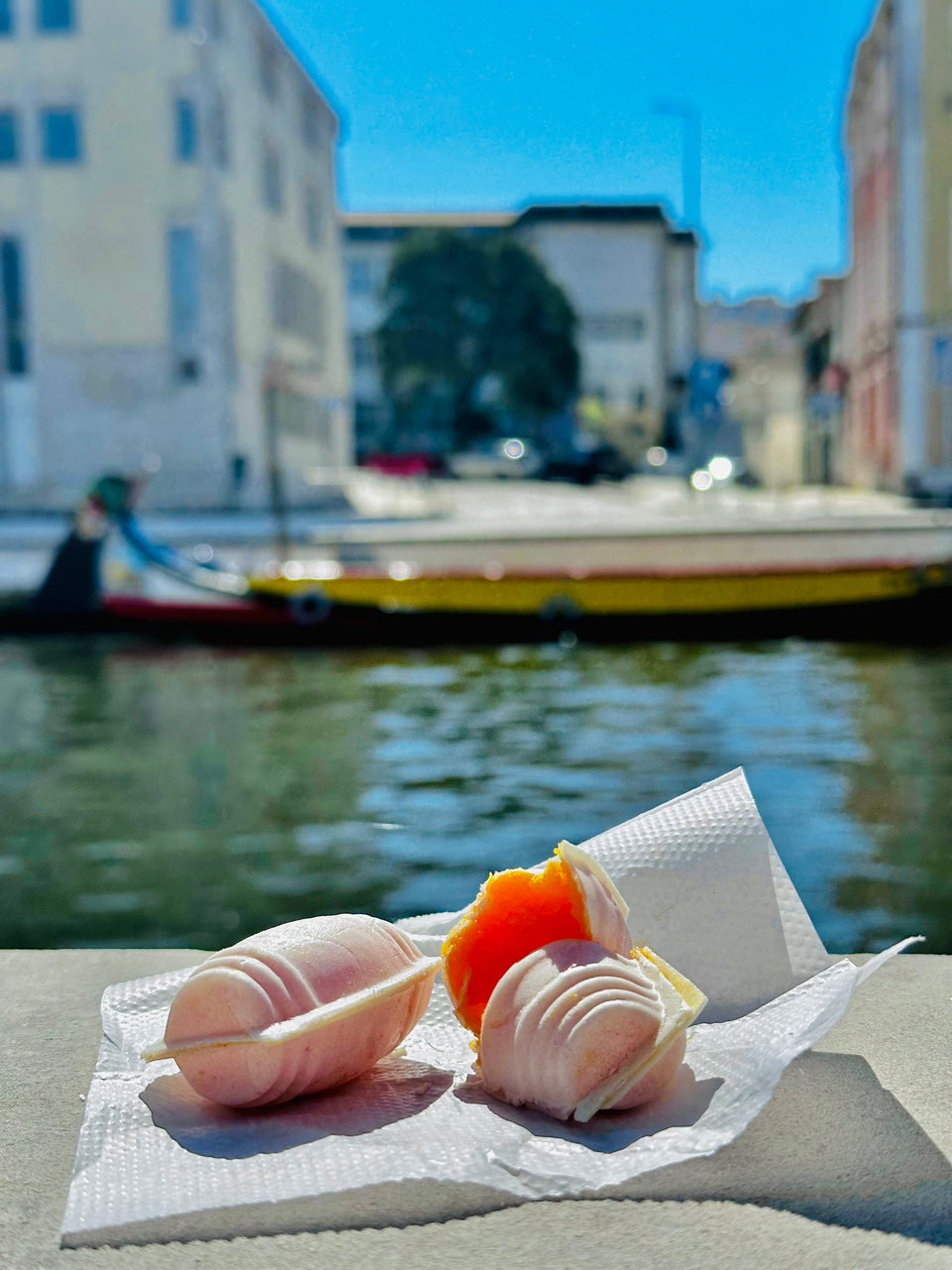 Aveiro and Coimbra - Panoramic Tour (Full Day)