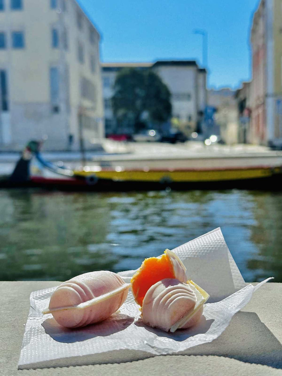 Aveiro - Tour Panorâmico (Half Day) - Imperial Porto Tours