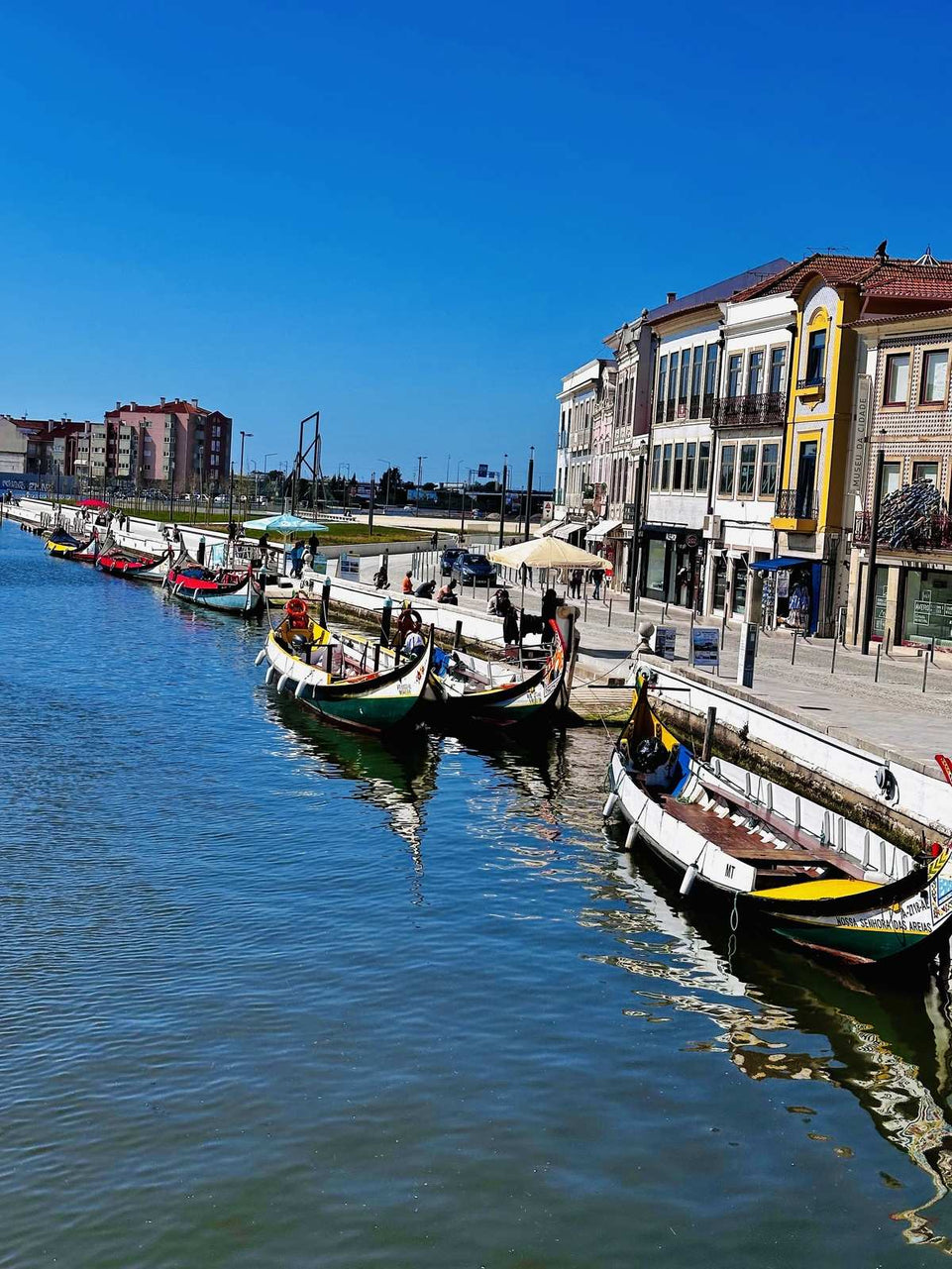 Aveiro e Coimbra - Tour Panorâmico (Full Day) - Imperial Porto Tours