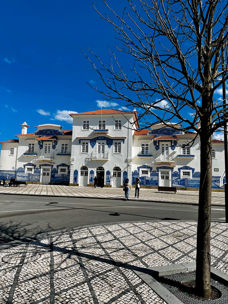 Aveiro and Coimbra - Panoramic Tour (Full Day)