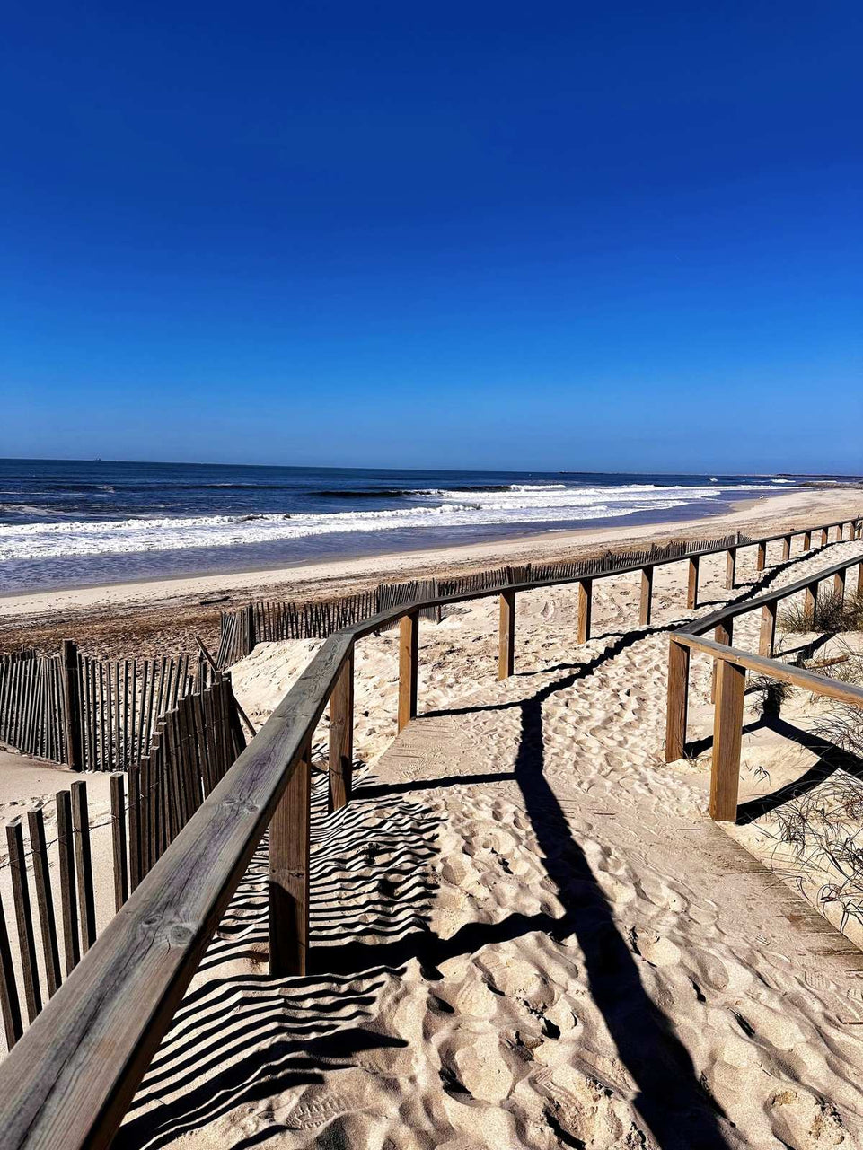 Aveiro - Tour Panorâmico (Half Day) - Imperial Porto Tours