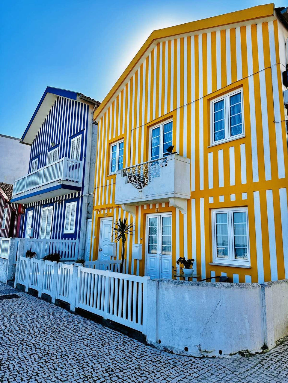 Aveiro e Coimbra - Tour Panorâmico (Full Day) - Imperial Porto Tours