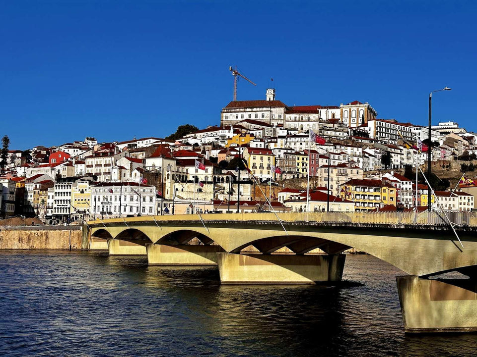 Aveiro e Coimbra - Tour Panorâmico (Full Day) - Imperial Porto Tours