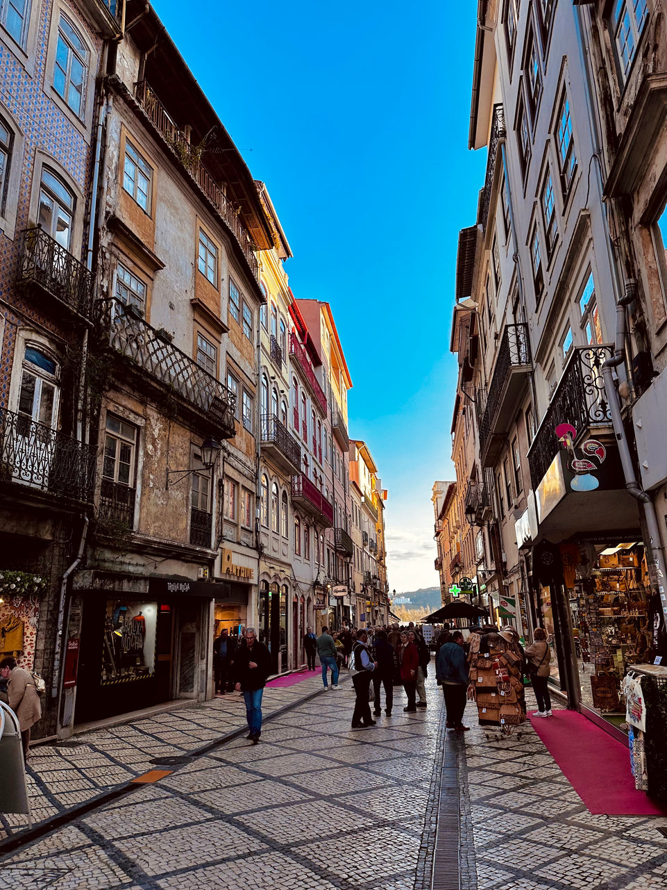 Aveiro and Coimbra - Panoramic Tour (Full Day)