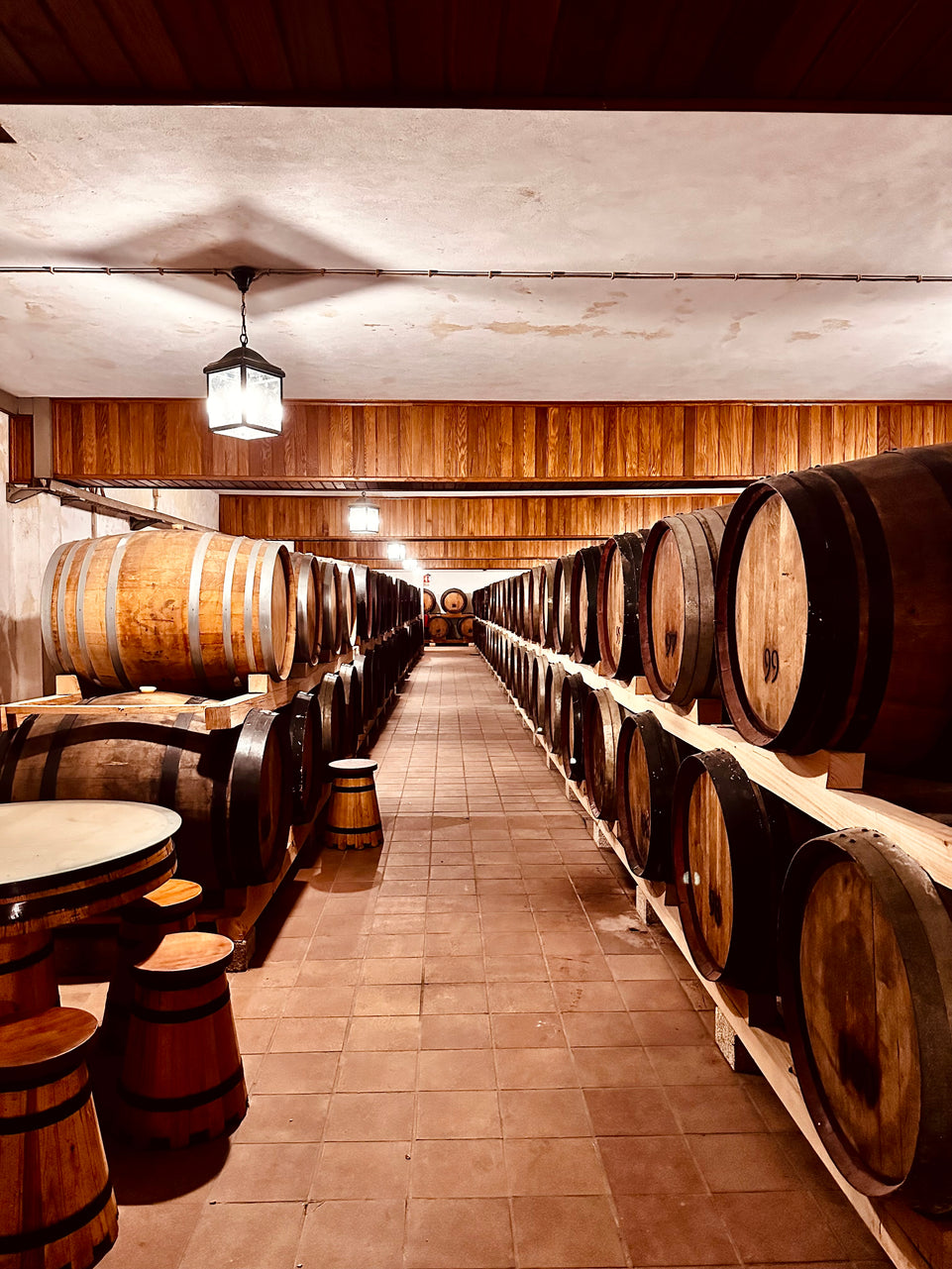 Amarante - Green wine tour (All Inclusive)