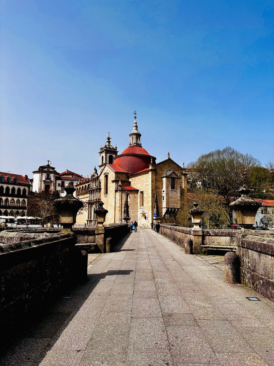 Douro with stop in Amarante (Full Day)