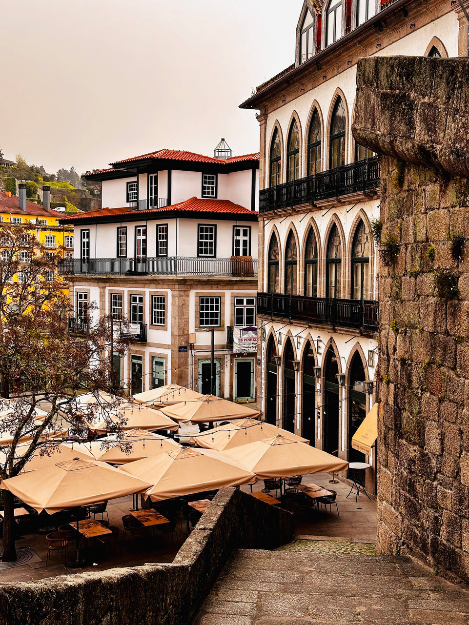 Amarante - Green wine tour (All Inclusive)