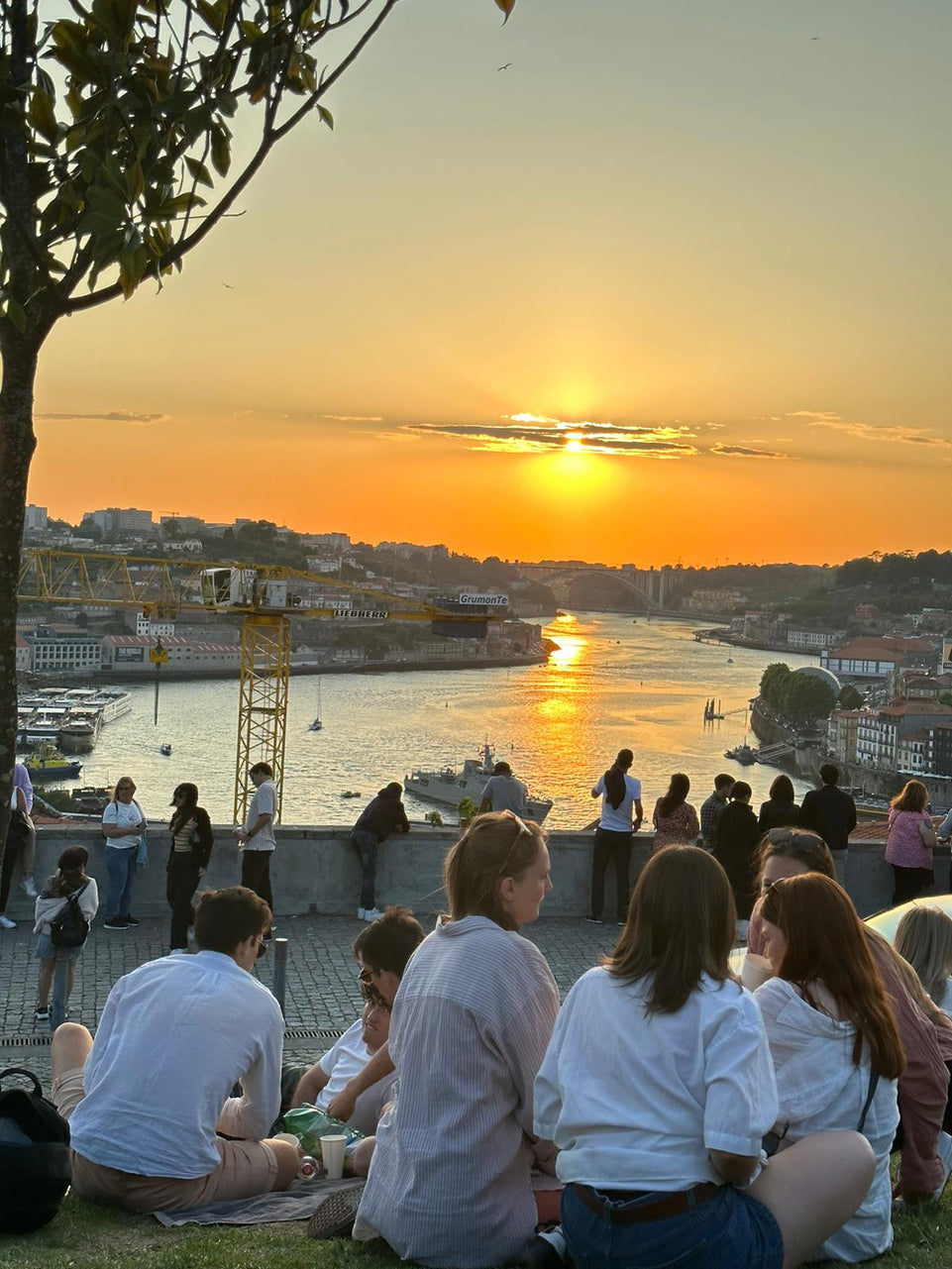 Porto City tour Exclusive with wine tasting!
