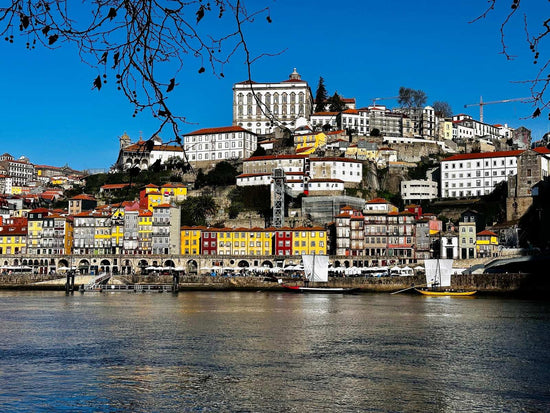Porto City Tour (half day) - Imperial Porto Tours
